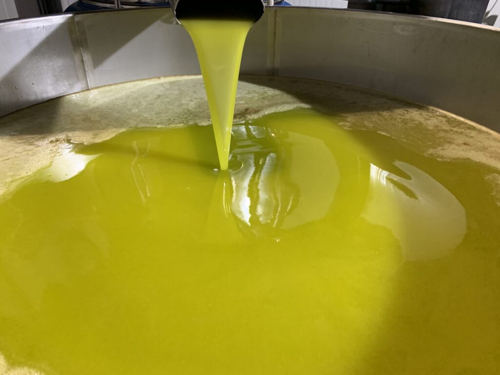 olio d'oliva Nocellara BIO eccoci qua